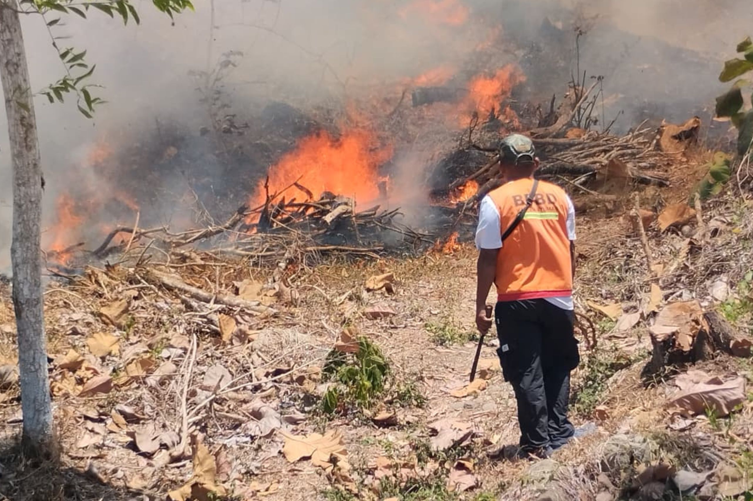 Kebakaran Hutan dan Lahan
