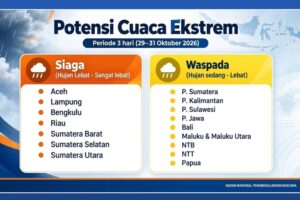 Pelaksana Tugas (Plt.) Kepala Pusat Data, Informasi, dan Komunikasi Kebencanaan BNPB Berton Panjaitan